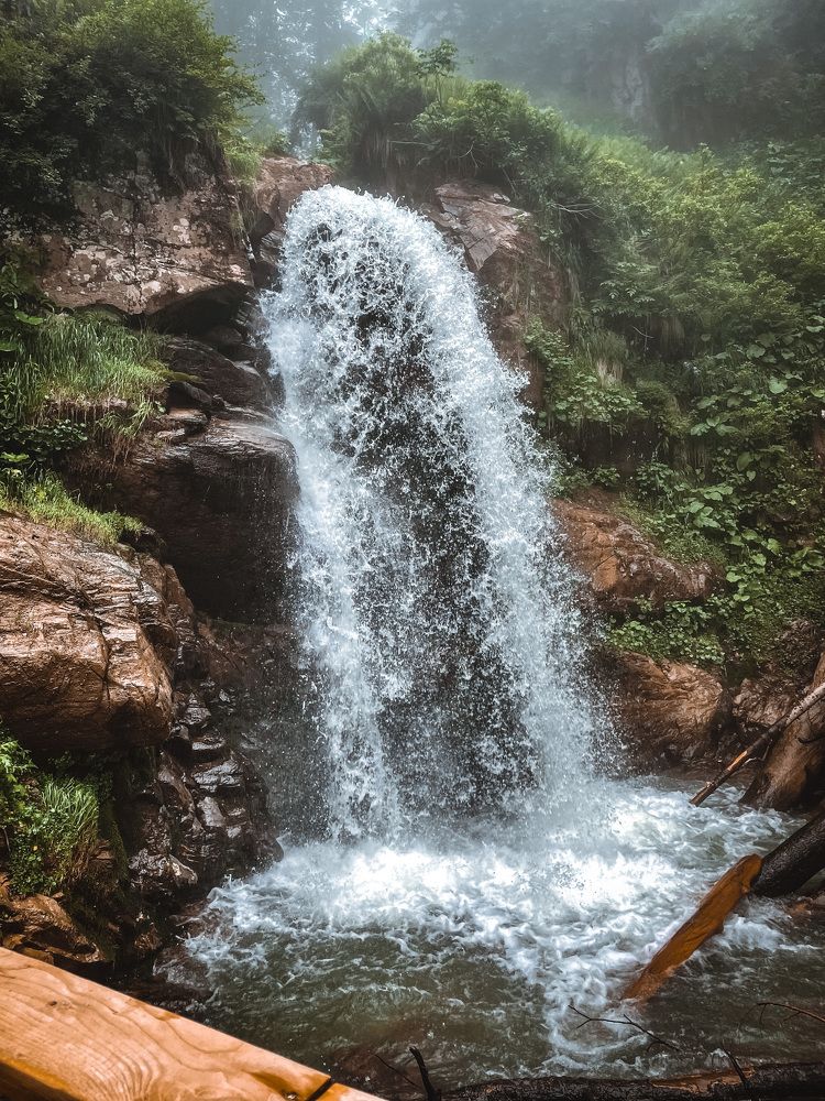 Photograph by Маргарита Кононова