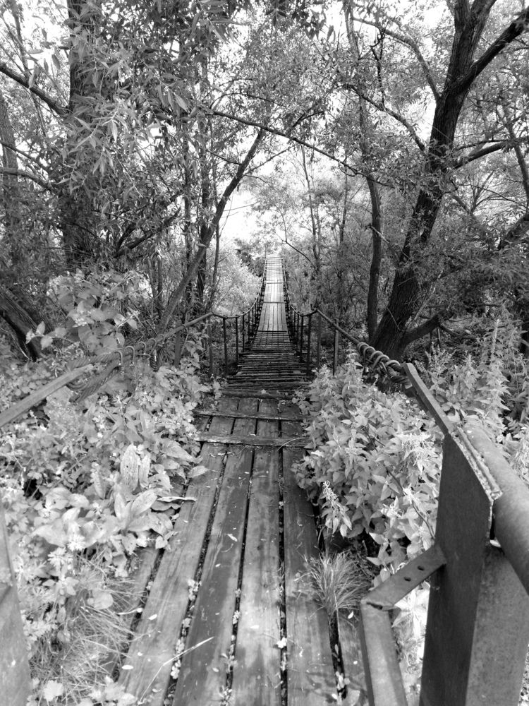 Photograph by Надежда Яковлева