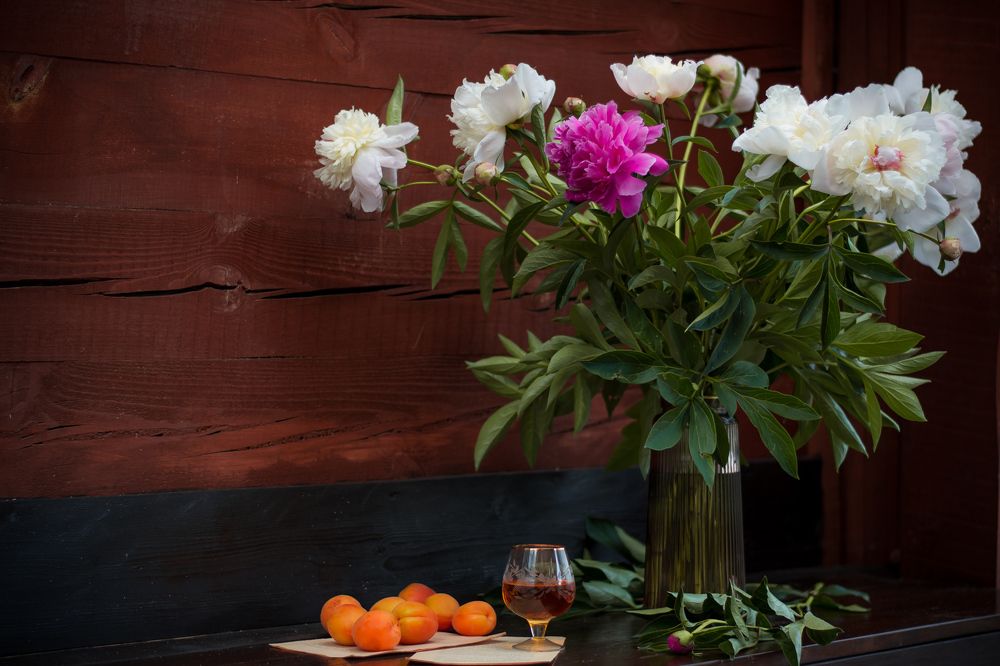 Photograph by TATYANA PEREVALOVA