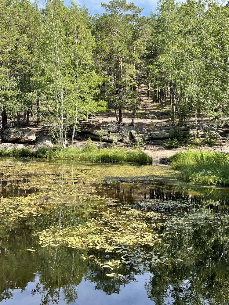 Фотография автора галина лапшина