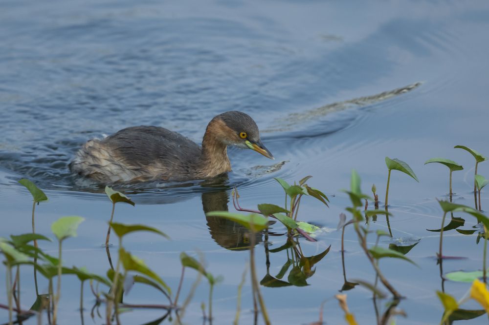 Photograph by Sameer Bhalekar