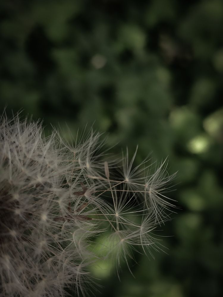 Photograph by Anna