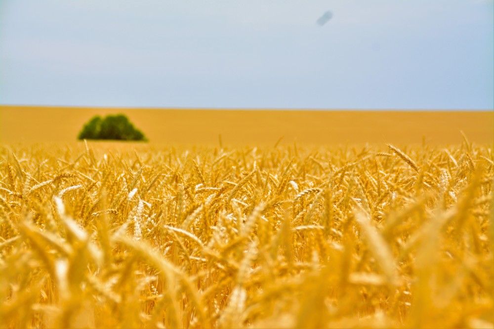 Photograph by Дмитрий Шумский