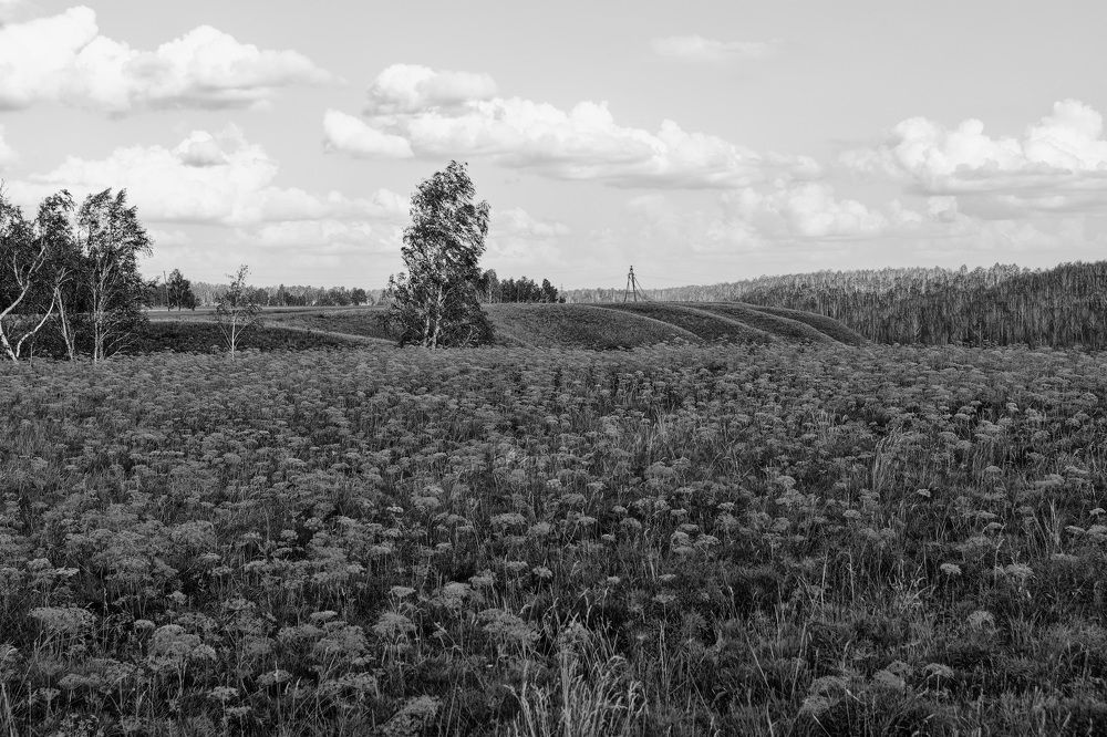 Photograph by Пивоварова Екатерина