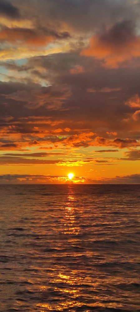 Photograph by Ольга Манелова