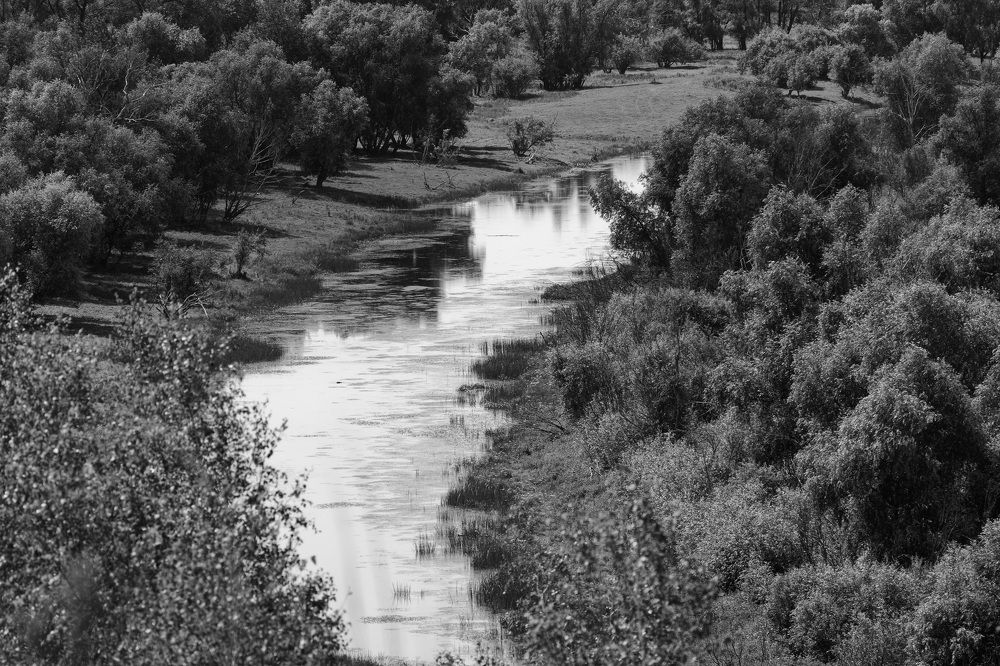 Photograph by Пивоварова Екатерина