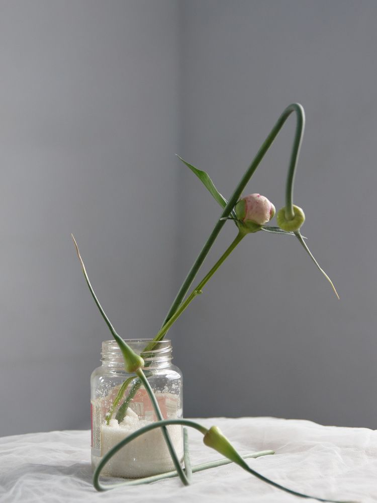 Photograph by Пивоварова Екатерина