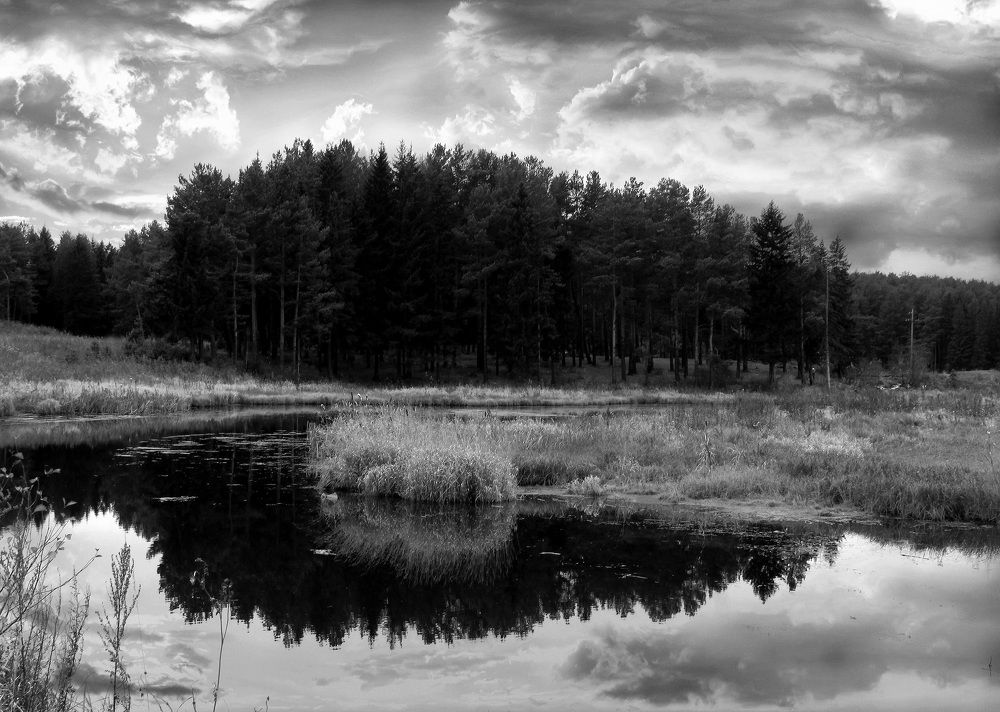 Photograph by Евгения