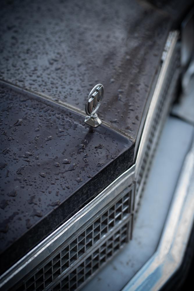 Photograph by Ardalan Hamedani