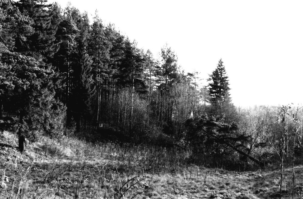 Photograph by Евгения