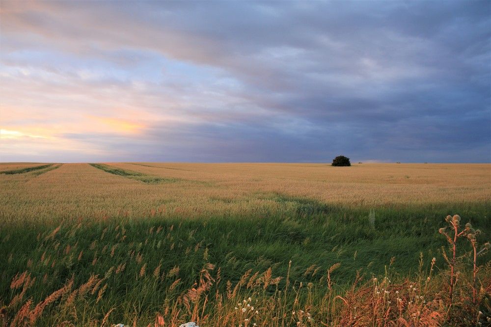 Photograph by Марина Юрченко