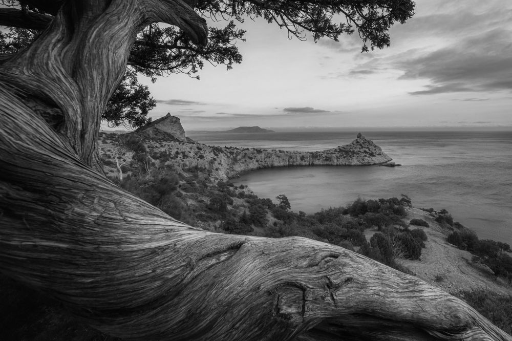 Photograph by Дмитренко Екатерина