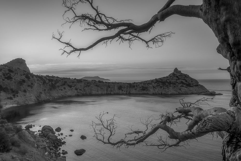 Фотография автора Дмитренко Екатерина