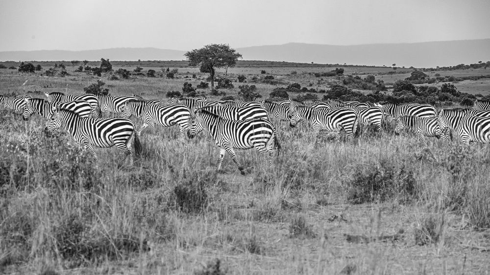 Photograph by Sanchi Sawhney