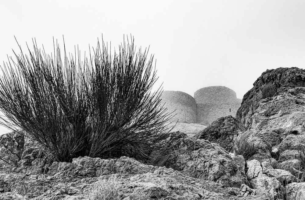 Photograph by Morteza Noori  Aboozari