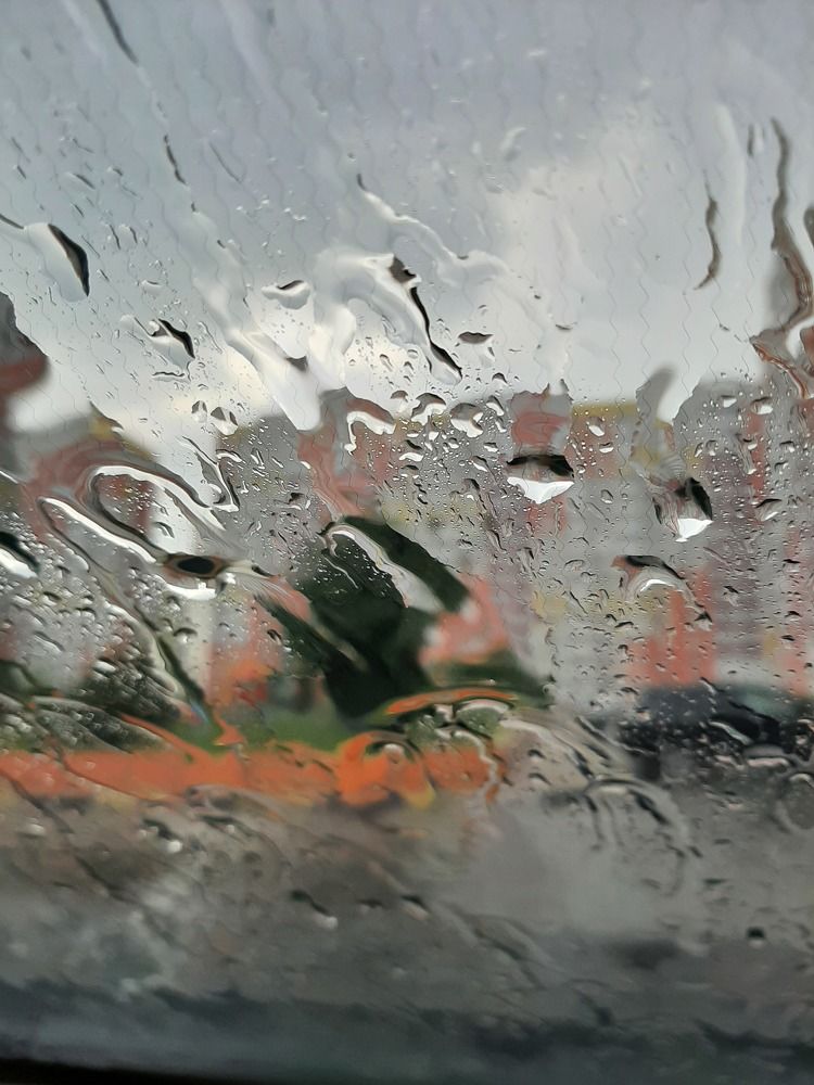 Photograph by Наталия