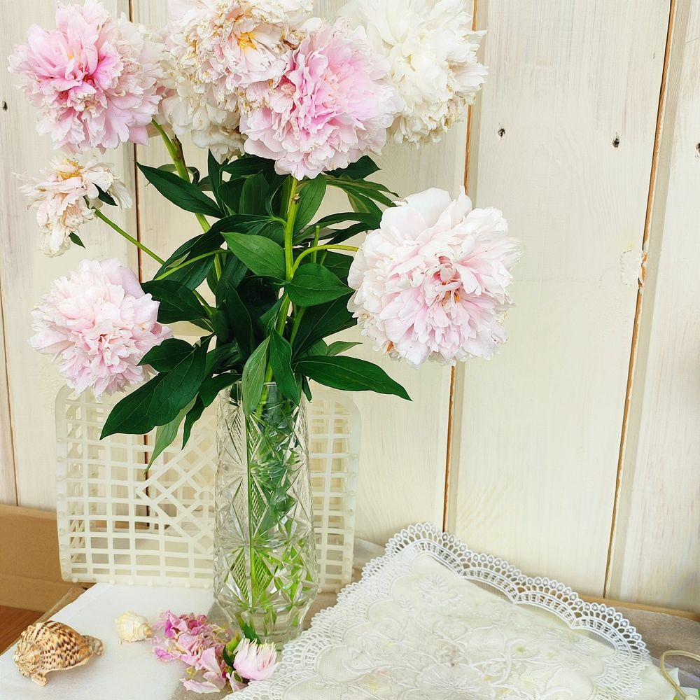 Photograph by DARIA DEMINA