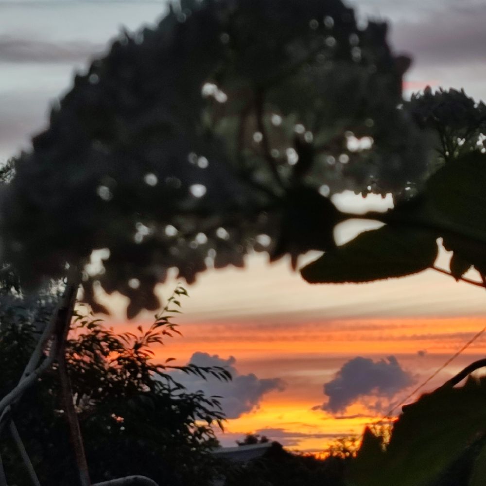 Photograph by DARIA DEMINA