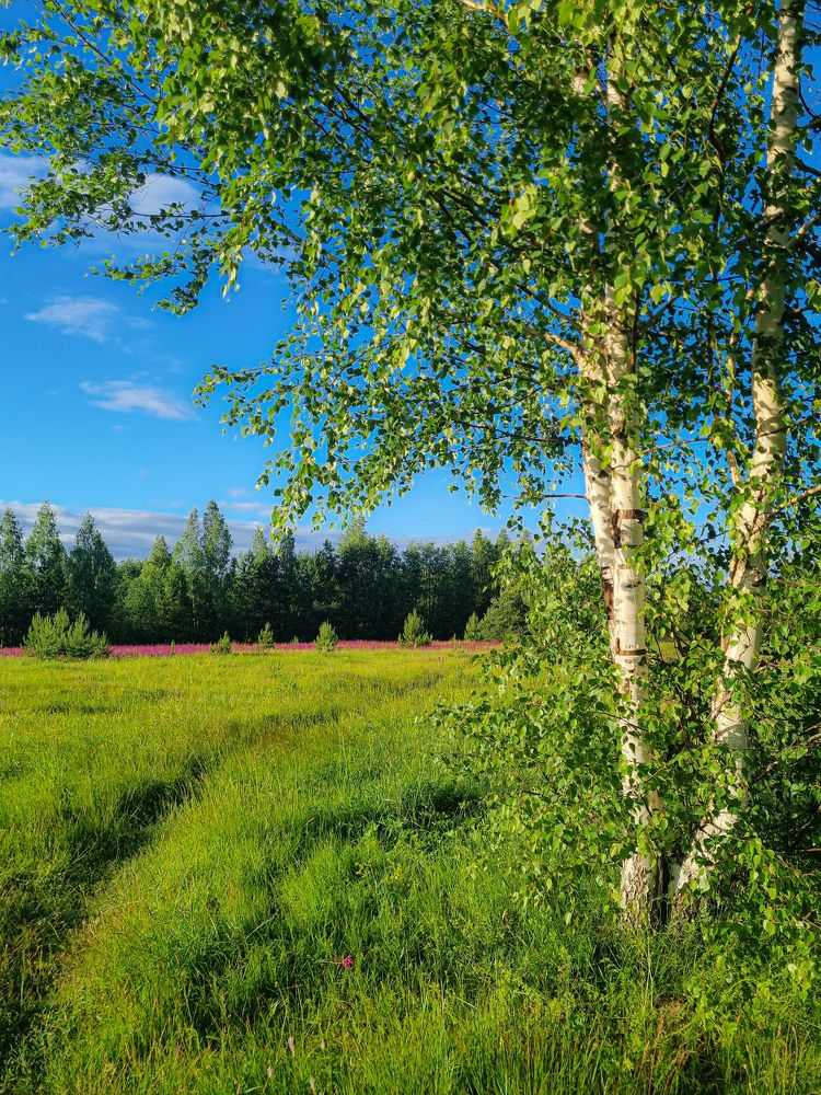 Photograph by Сергей