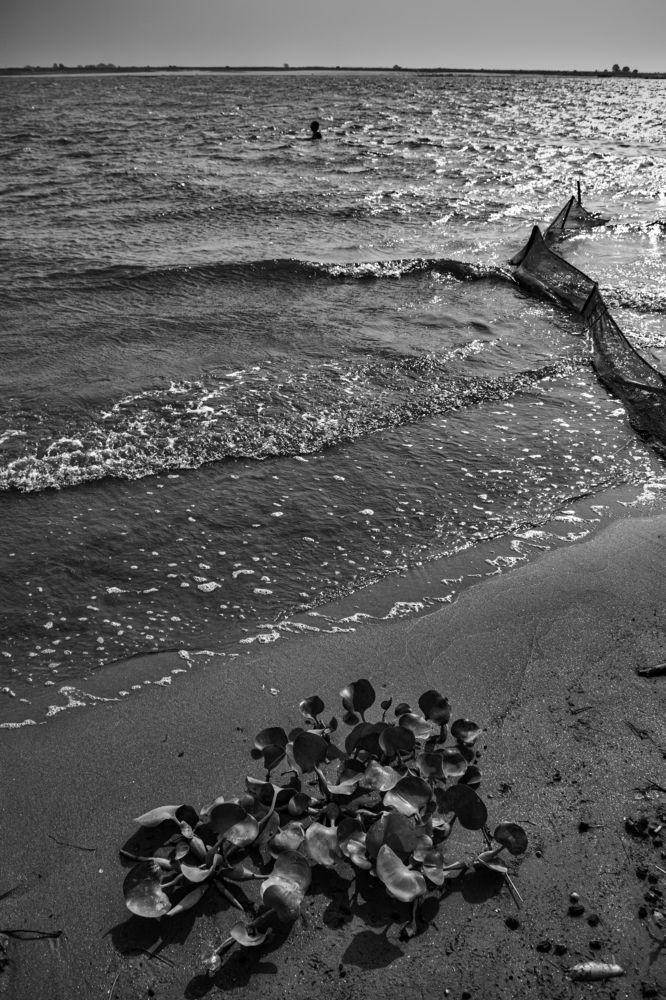 Photograph by shashiranjan prakash