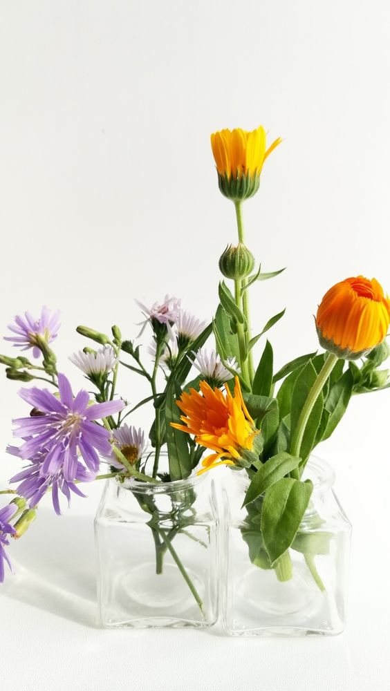 Photograph by Алпацкая Ирина Александровна