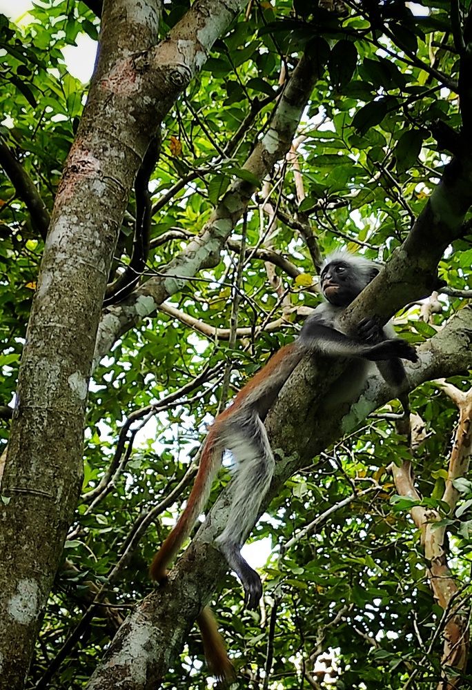 Photograph by Наталья Рау