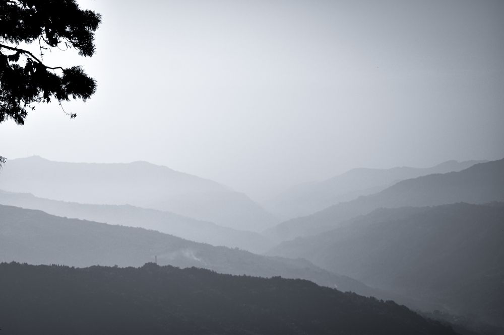 Photograph by Sudeb Chowdhury