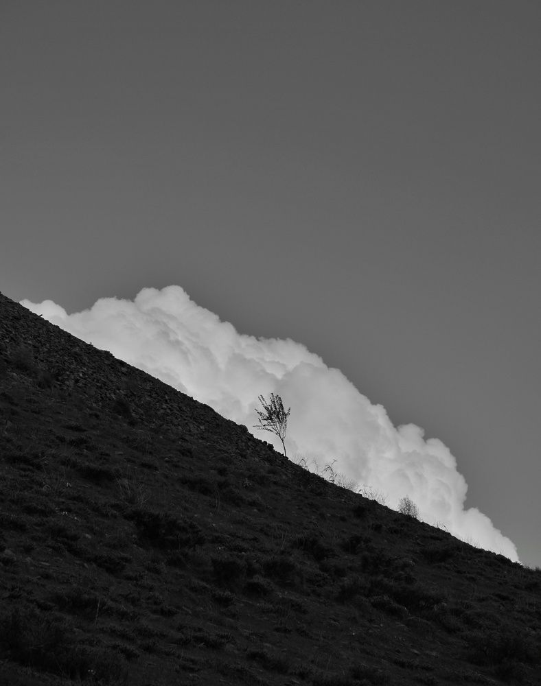 Photograph by Ehsan Fathi