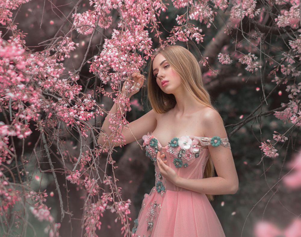 Фотография автора Софья Ознобихина