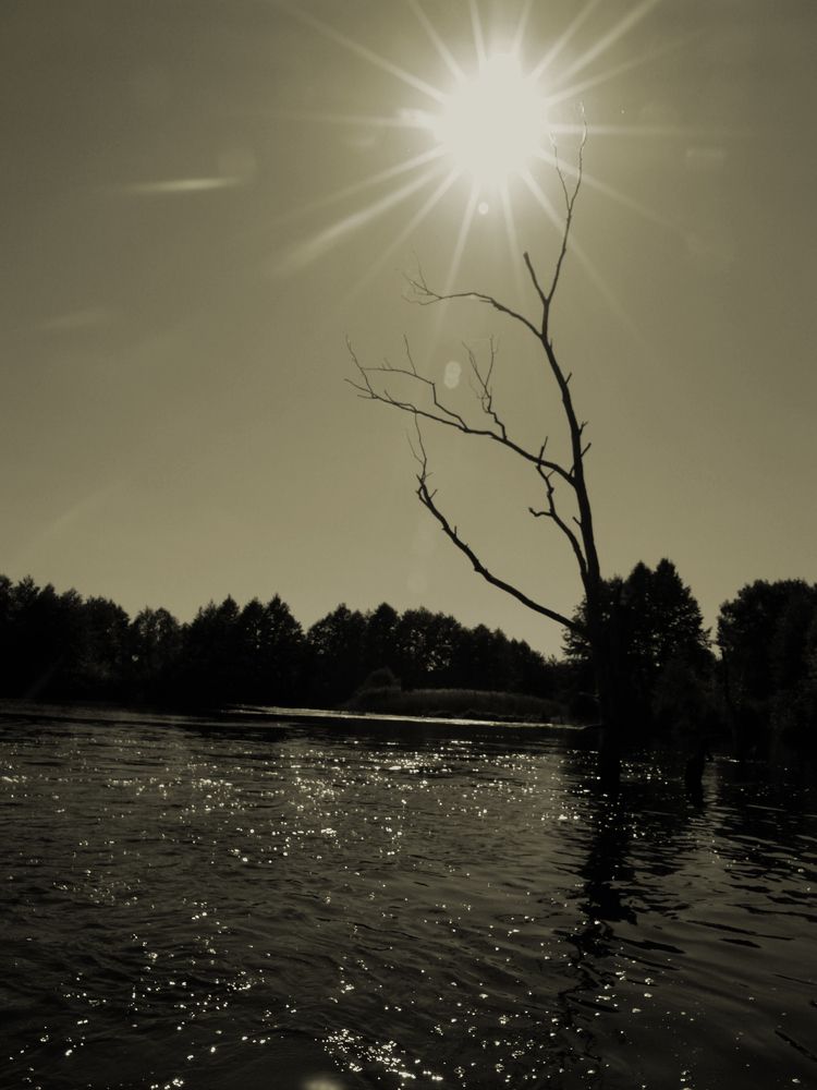 Photograph by Игорь Шевердин