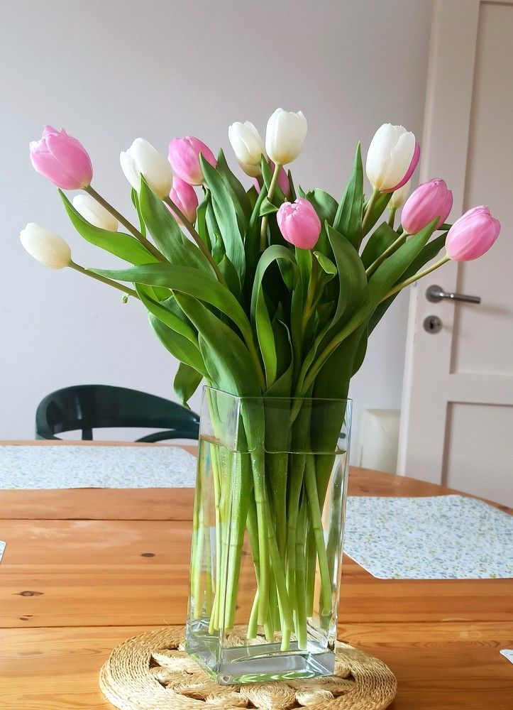 Photograph by Kateryna Schuliak