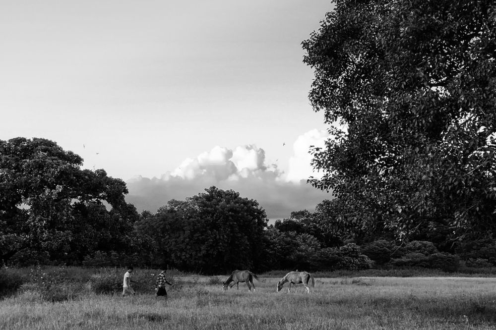 Photograph by Sudeb Chowdhury