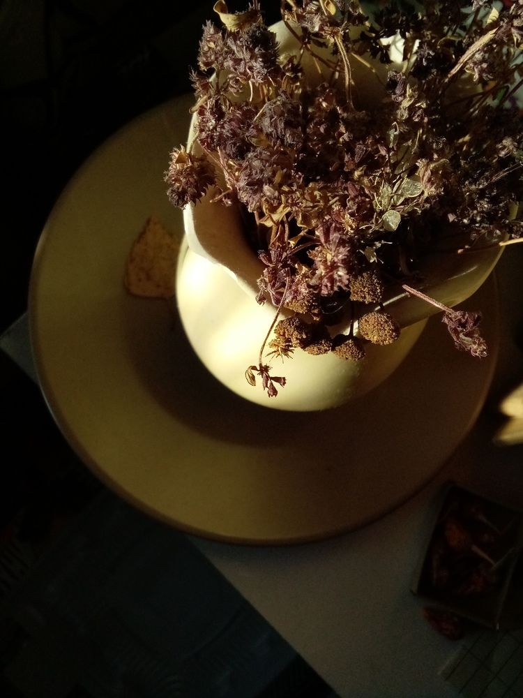 Photograph by Людмила Баглей