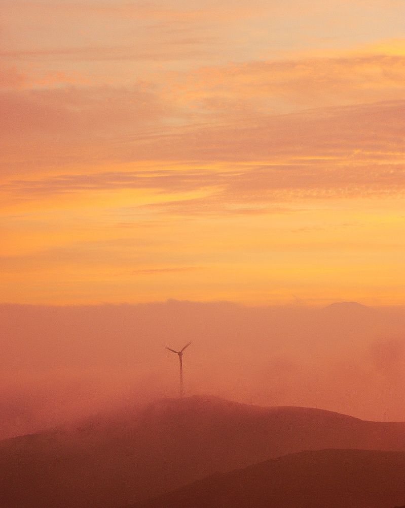 Photograph by Alexandra Sergeeva