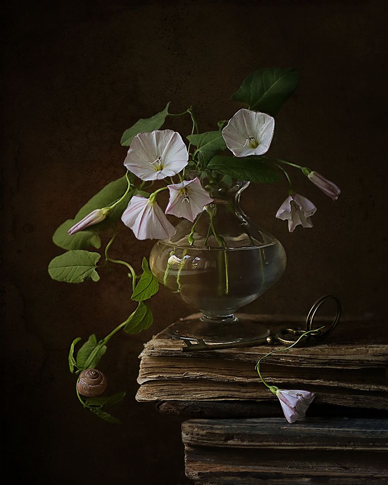 Photograph by Светлана Дерябина