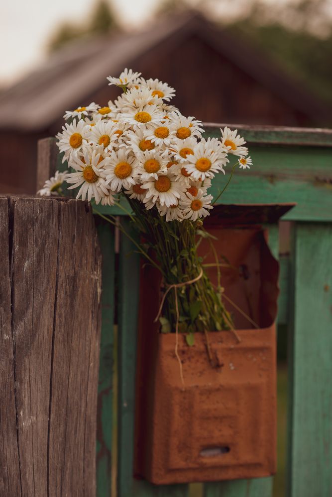 Photograph by Оксана Муравьева