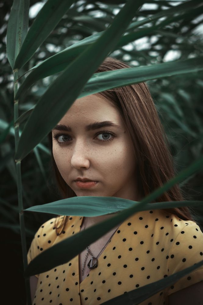 Photograph by Владимир Зайцев