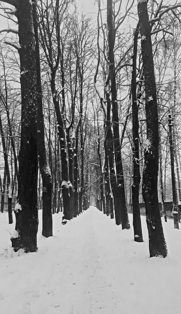 Photograph by Олеся