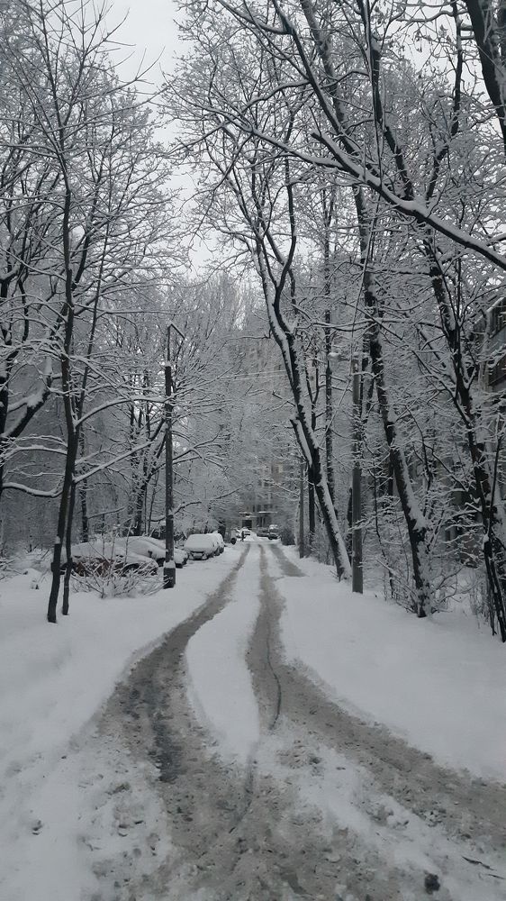 Photograph by Олеся