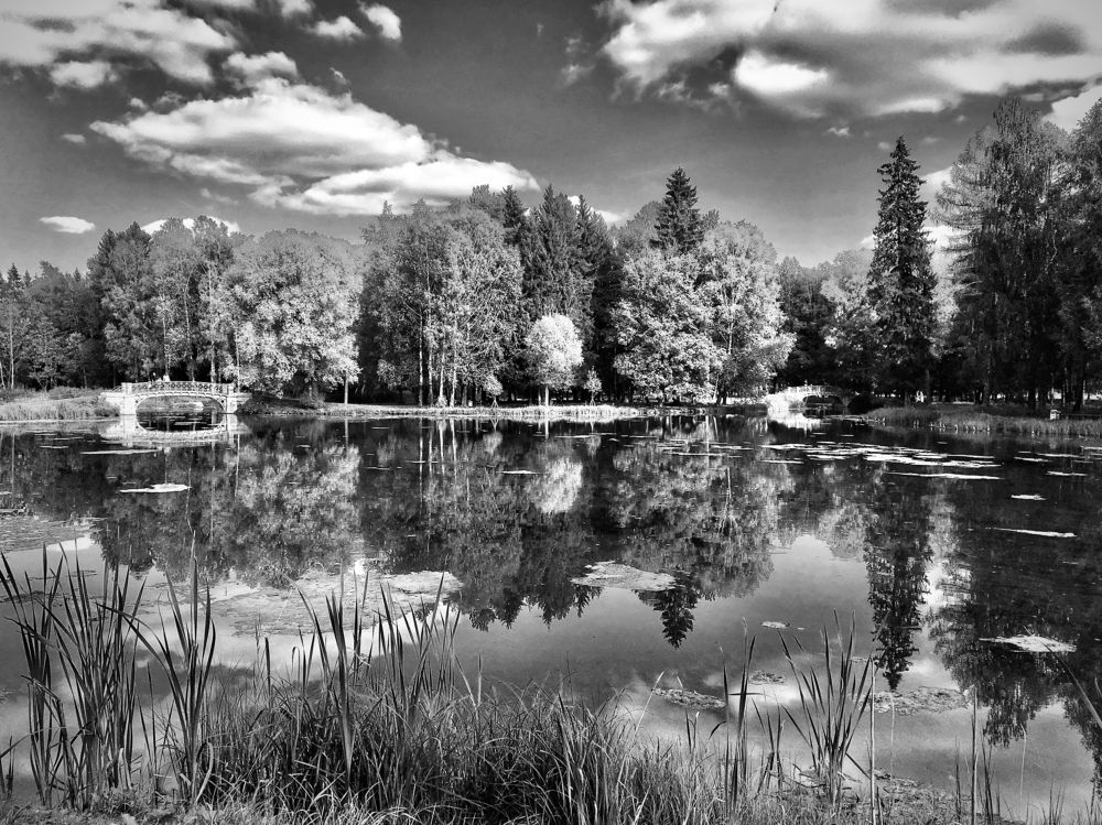 Photograph by Иованна Решетова