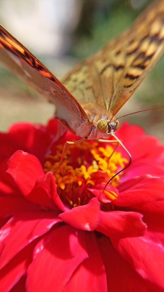 Photograph by Анна