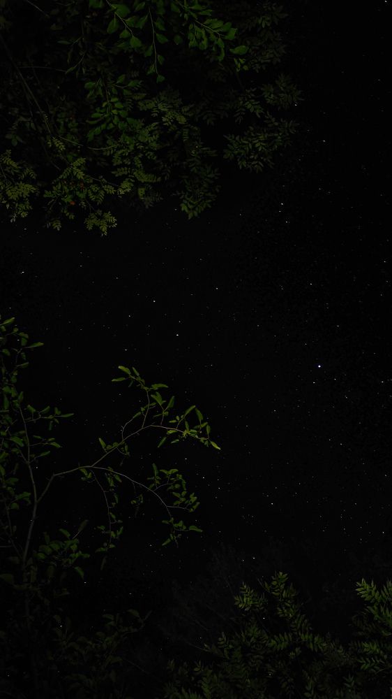 Photograph by Ali Rashtbari