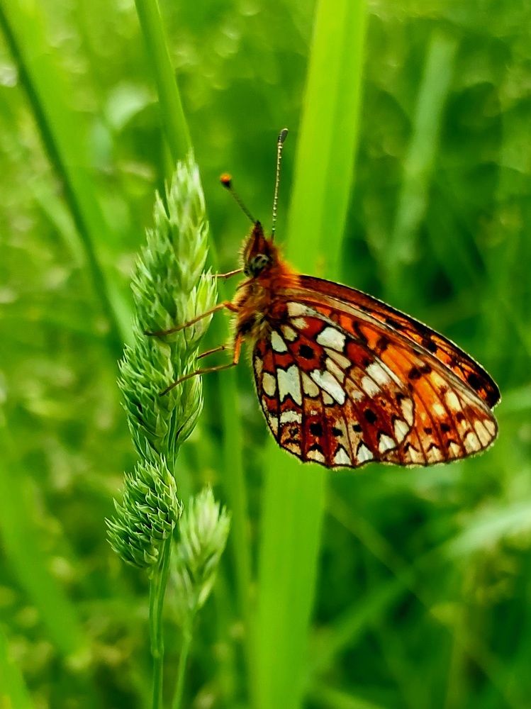Photograph by Фролова Светлана
