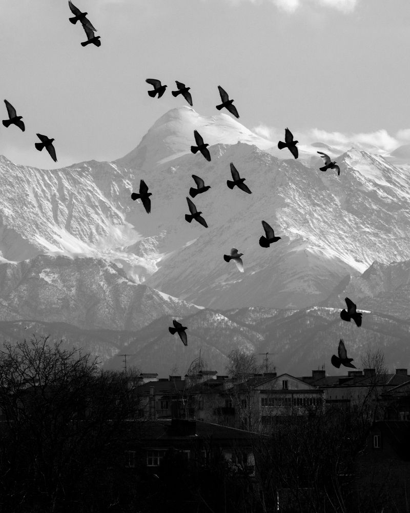 Photograph by Иван Бровкин