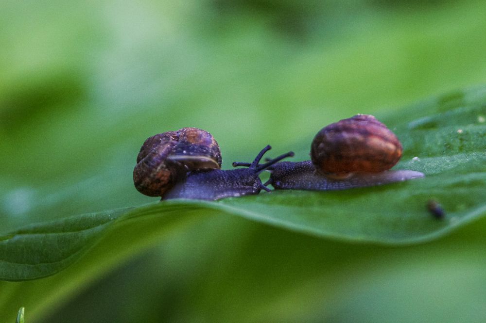 Photograph by Надежда