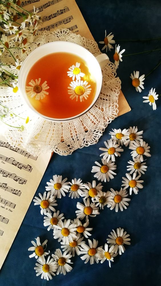 Photograph by Ирина Адпацкая