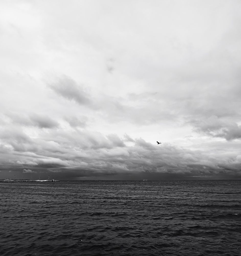 Фотография автора Татьяна Ротько