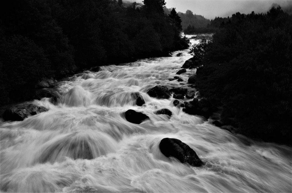 Photograph by Kushal Sharma