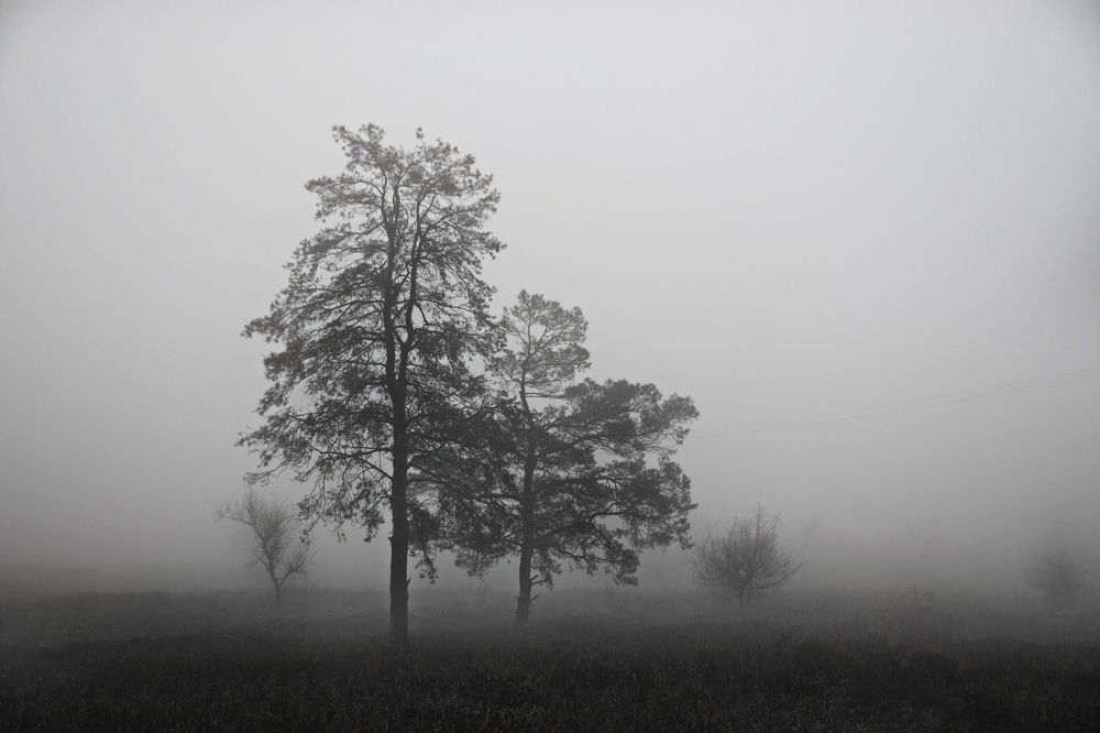 Photograph by Олег Крец