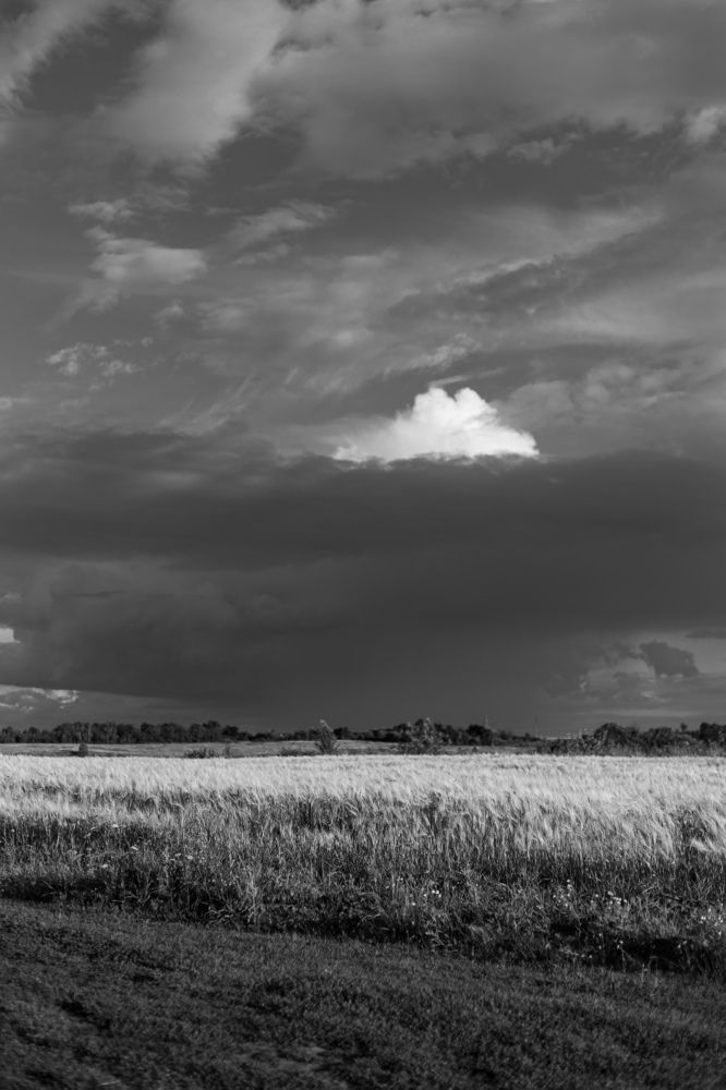 Фотография автора Мария Щеголькова